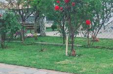 Seaside Family Villa - Foto 25