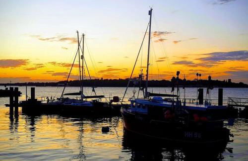 Wellie Stern - Foto 38