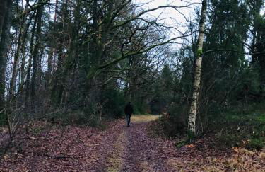 Haus Sonnenschein - Foto 14