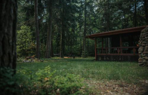 Forest Cabin - 50min od Warszawy - Foto 17