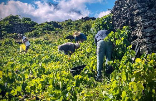 Welcome to Casa Fitz with Ocean Views and Air Conditioning - Photo 45