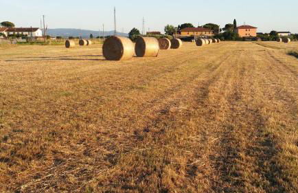 il Chiassetto Agriturismo No Kids - Foto 68