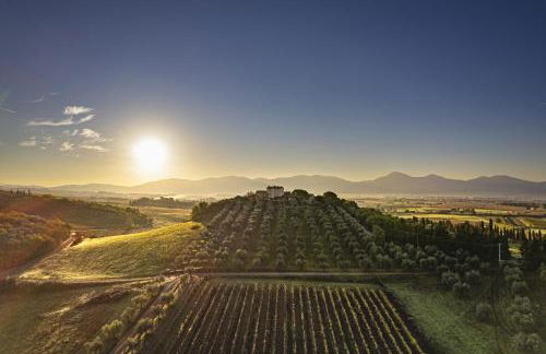 Agriturismo Morisfarms - Santa Laura - Foto 26