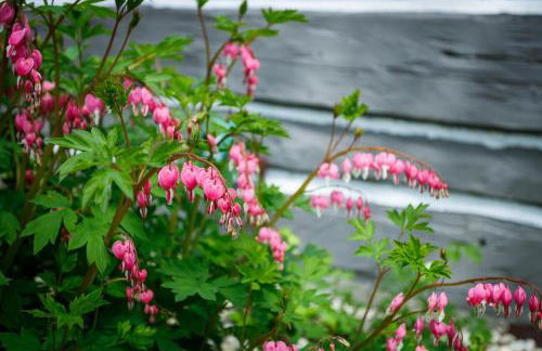 Collings Log House by Simple Life Rentals - Foto 23