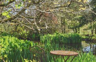 Twitchers Cottage - Foto 21