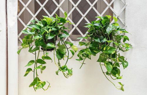 Loft35 - Loft con Vasca Idromassaggio nel Cuore di Palermo - Foto 31