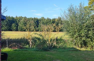 Ferienwohnung - Wolkow - Foto 15