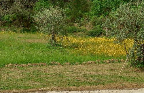 Villa Tranquilla apartment - Foto 48