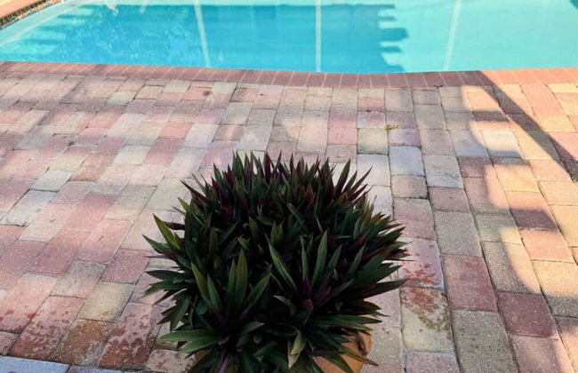 Pool Home in Seminole 5miles to Beach - Foto 68