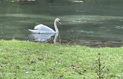 The Forge - Photo 25