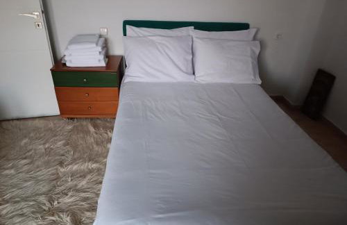 ΑΡΧΟΝΤΙΚΟ ΜΑΝΤΕΙΟ - Photo 11