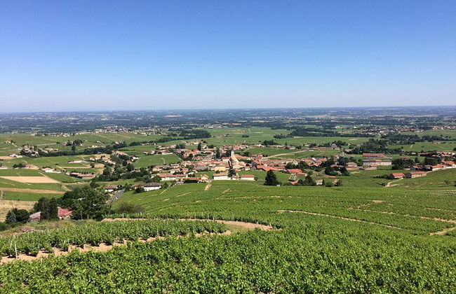 Tour enológico por el sur de Borgoña - Tour compartido de día completo desde Lyon - Foto 9