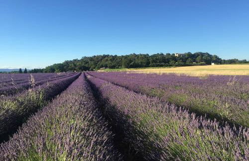 L'annexe de L' Bergerie - L’ Ardèche - Via Rhona - Foto 17