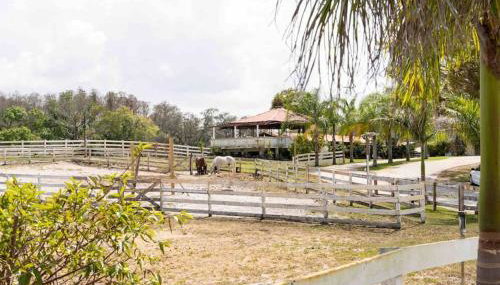 Tampa Bay Oasis - Foto 3