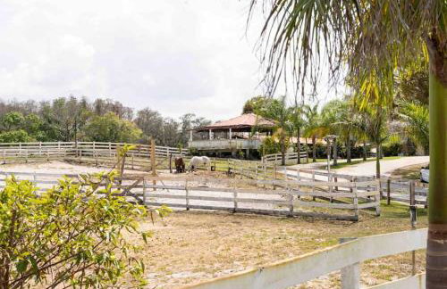 Tampa Bay Oasis - Foto 3