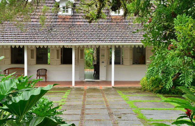 Tour del nord di Martinica - Foto 6