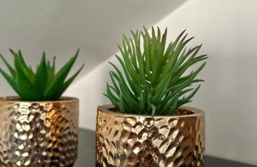 Appart' Studio cooconing - Champs Elysées - NETFLIX - Foto 33