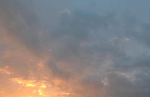 Riva dei fiori - Foto 27