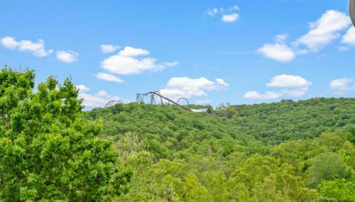 Ozark Vista - Foto 4