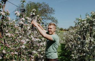 4 Sterne Ferienwohnung Hochries - Foto 18