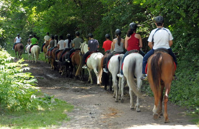 Paseo a caballo por los alrededores de Llavorsí - Photo 6