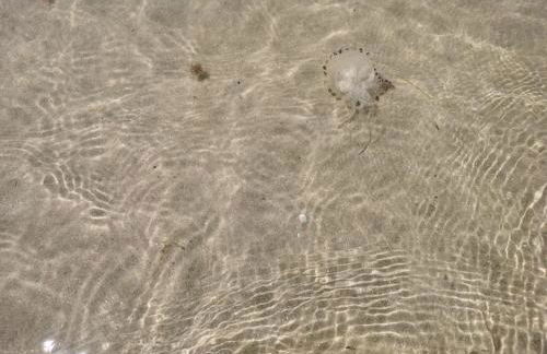 Hiking in Snowdonia? Sea, beach and mountains view - Photo 99