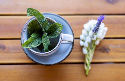 Casa el Nogal - Foto 7