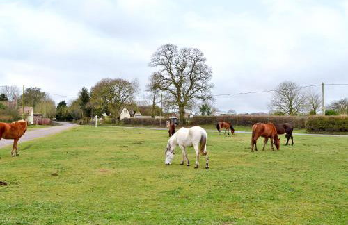 Forest Lodge - Foto 12