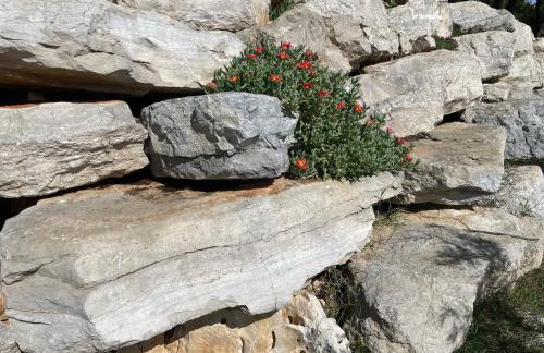 Istarska Vila - Foto 48