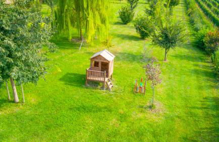 Le Bianchette Agriturismo e Fattoria Didattica - Foto 33