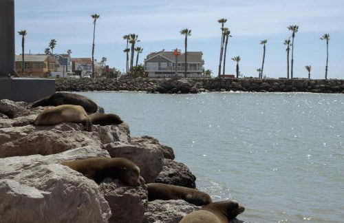 Waterfront 104 - Foto 45