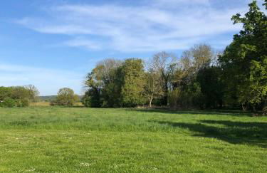 Gutshaus am Nationalpark Unteres Odertal - Foto 38