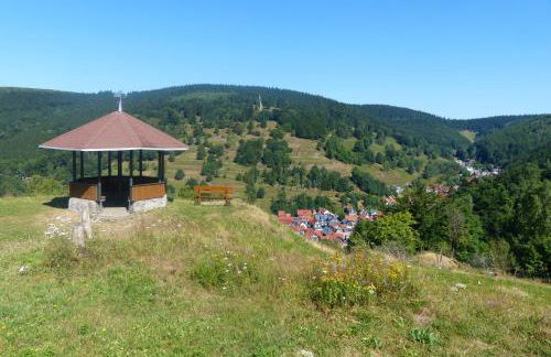 Ferienhaus am Löffelberghüttchen - Foto 6
