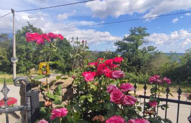 Apartman Villa Romana - Foto 42