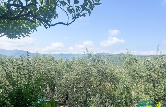 Marisa (DOL126) - Foto 32