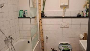 Ferienwohnung Haus Schöneck - Foto 2