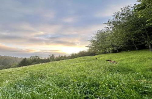 Apartment in Gutenbach With Nearby Forest - Foto 57