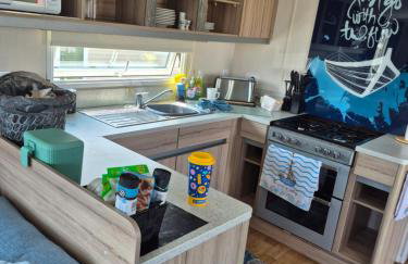 8 Berth Caravan at Blue Dolphin East coast - Foto 10