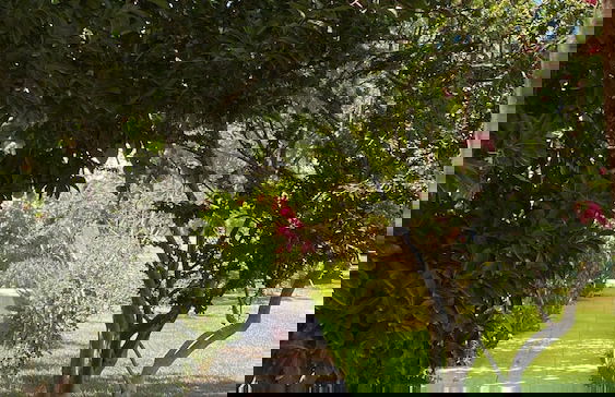 Mesudiye Apart - Foto 21