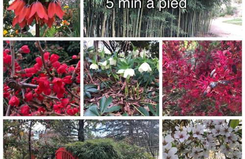 love Cévennes - Foto 23