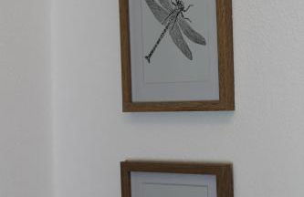 Sägemühle Eschachthal - Photo 36