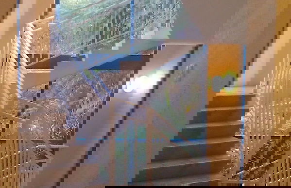 Coral Sea Vista Apartments - Foto 39