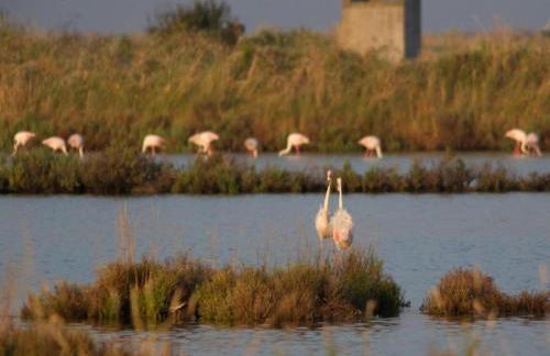 Characteristic Apartment in Codigoro With Pool - Foto 124