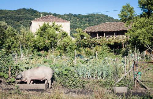 Reitoral de Chandrexa - Foto 67