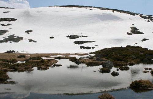 Casa dos Toros - Foto 30