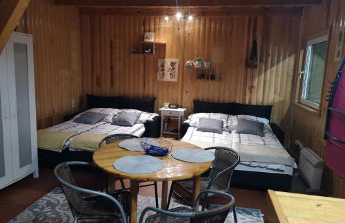 domki nad jeziorem, las, do 10 osób jezioro Wilczyńskie Budzisławskie - domek letniskowy osobno ogrodzony, ogrzewany mile widziane pieski, zwierzeta- wielkopolska, 62-550 Zygmuntowo gm Wilczyn - Photo 25