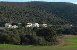 Casas Rurales Cortijo la Cañada - Photo 27