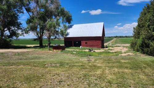 Behm's Farm - Foto 4