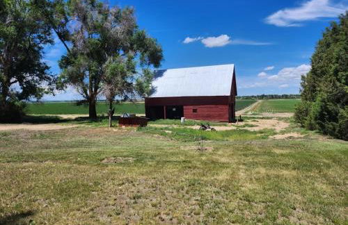 Behm's Farm - Foto 4