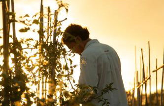 Agriturismo Le Forre del Treja (La Villa) - Foto 52